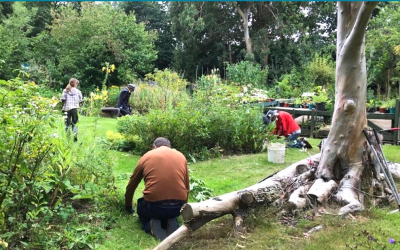 Foundation awards £100K in green grants to West Midlands and Warwickshire charities.