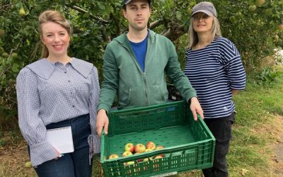 Seeds of Support for Team Springboard
